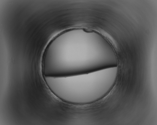 X0000088131288200705140950