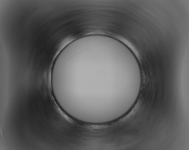X0000088131290200705140950