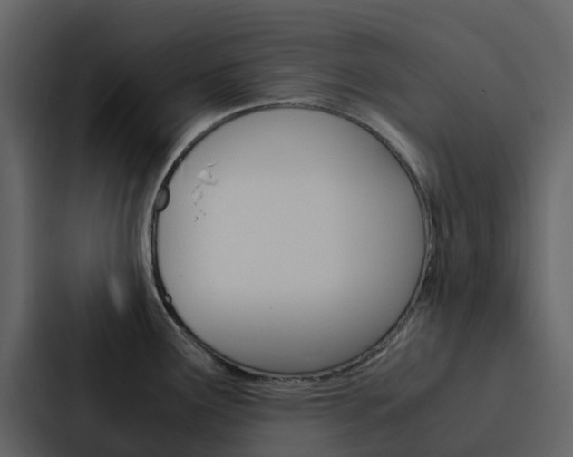 X0000088131291200705140950