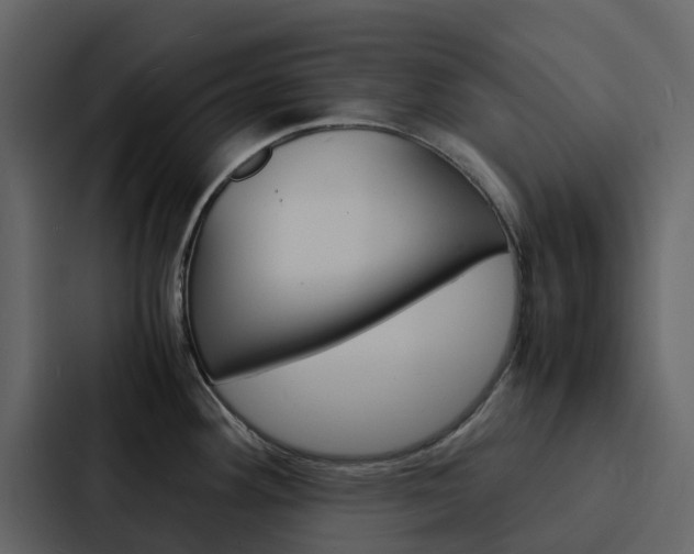 X0000088131292200705140950