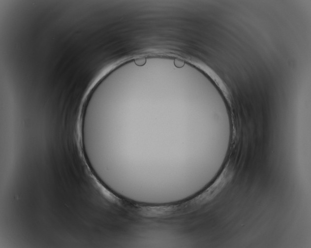 X0000088131294200705140950