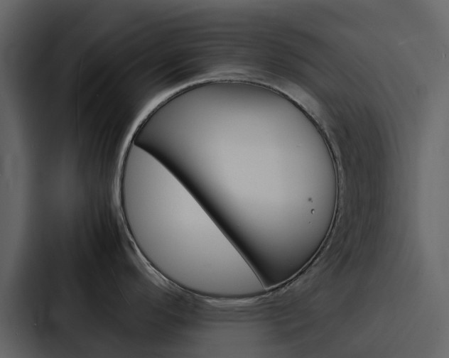 X0000088131296200705140949