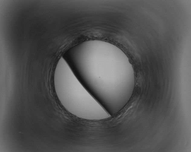 X0000088131297200705140949