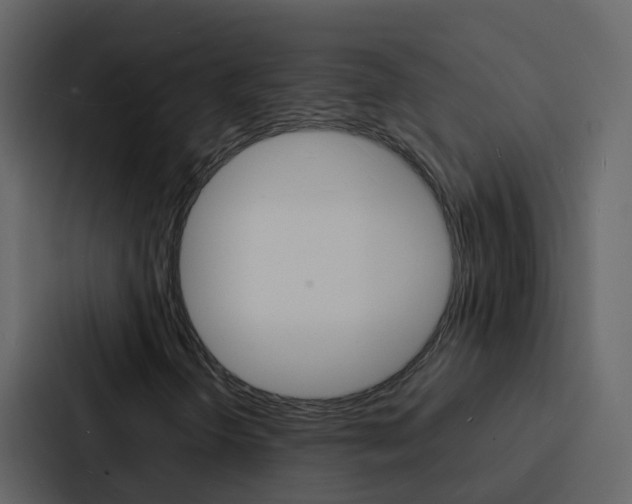 X0000088131298200705140949