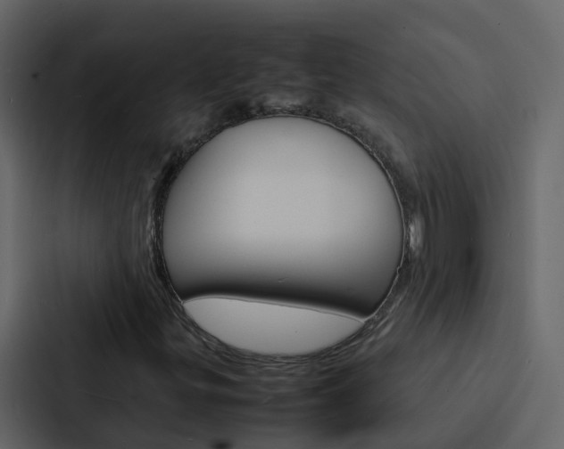 X0000088131299200705140949