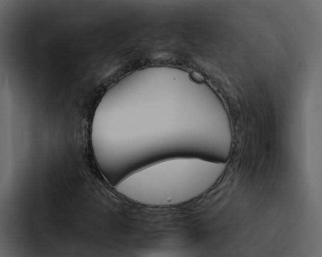 X0000088131301200705140949
