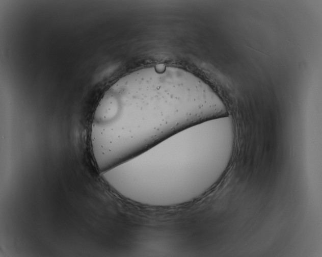 X0000088131302200705140949