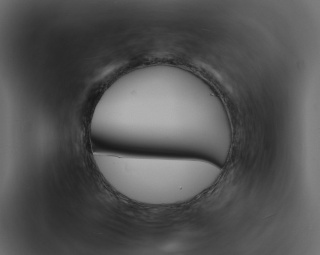 X0000088131303200705140949