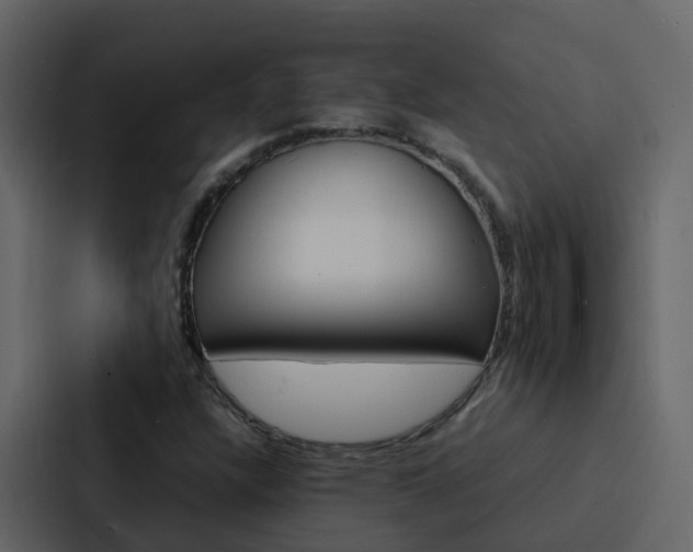 X0000088131304200705140949