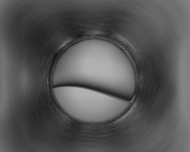 X0000088131305200705140949
