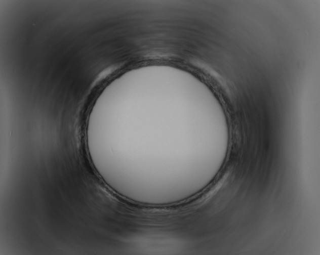 X0000088131306200705140949