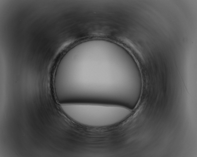 X0000088131307200705140949