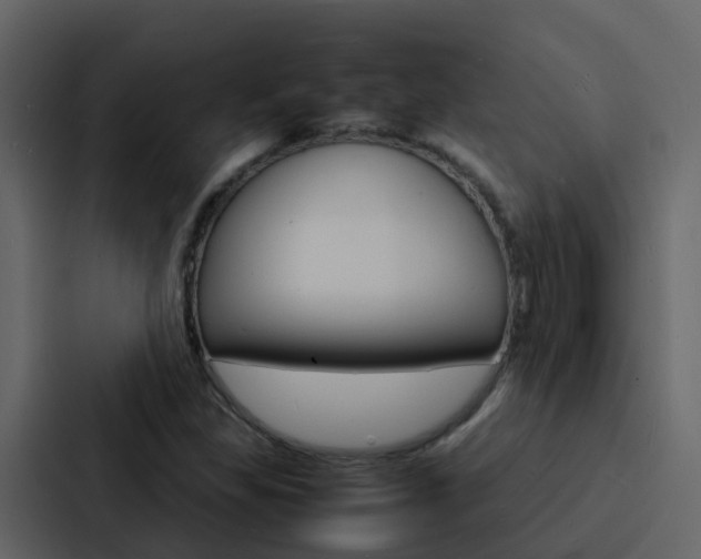 X0000088131309200705140949
