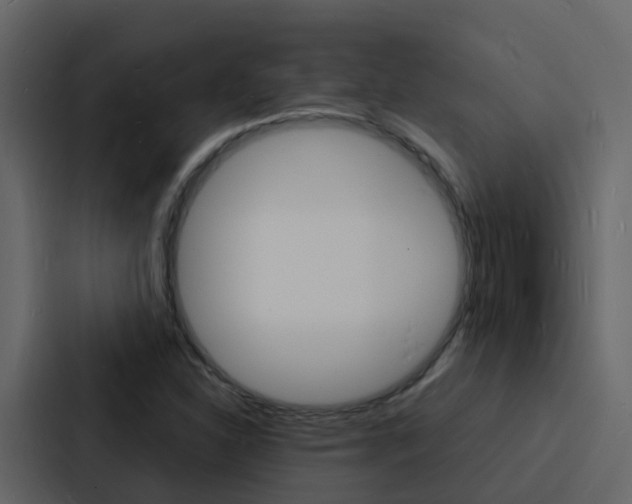 X0000088131310200705140949