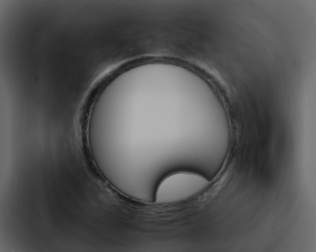 X0000088131311200705140949