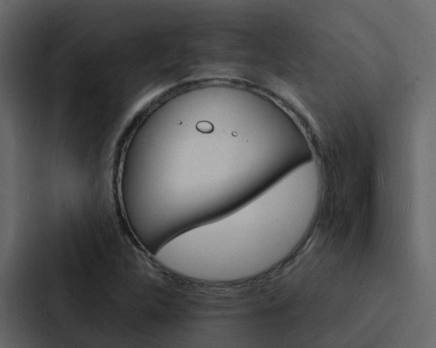 X0000088131312200705140949