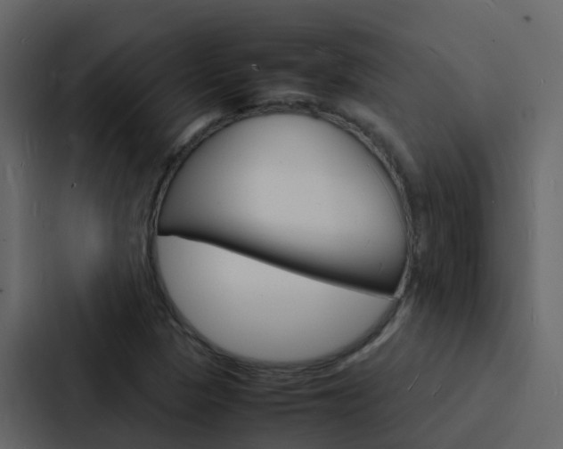 X0000088131313200705140949