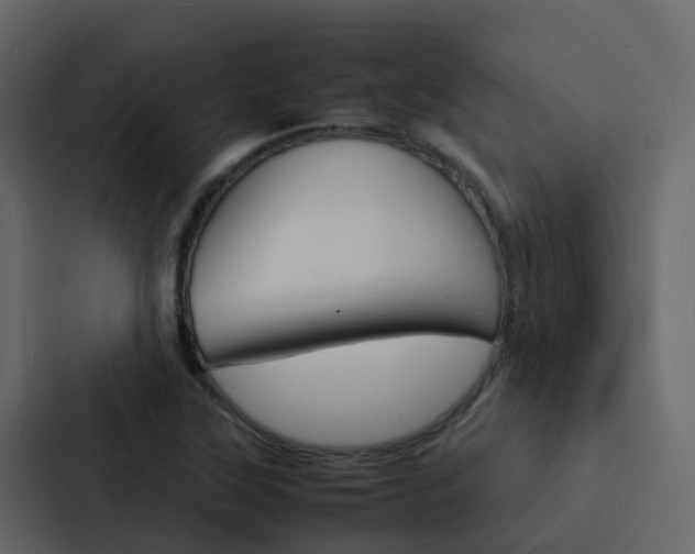 X0000088131315200705140949