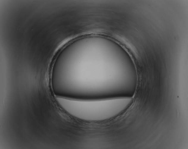 X0000088131316200705140949