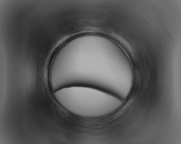 X0000088131318200705140949