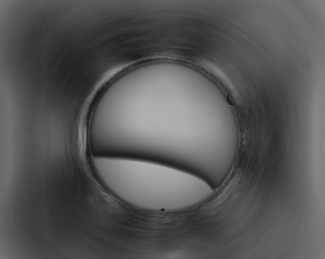 X0000088131323200705140949