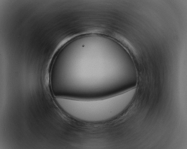 X0000088131324200705140949