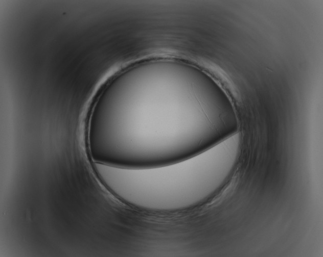 X0000088131326200705140949