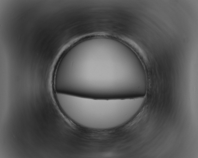 X0000088131327200705140949