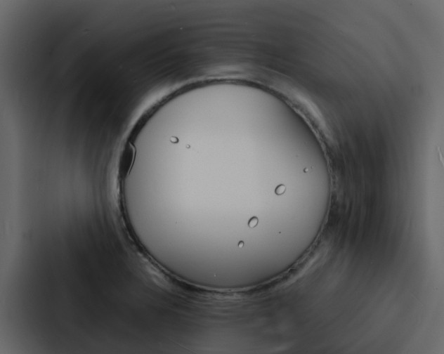 X0000088131328200705140949