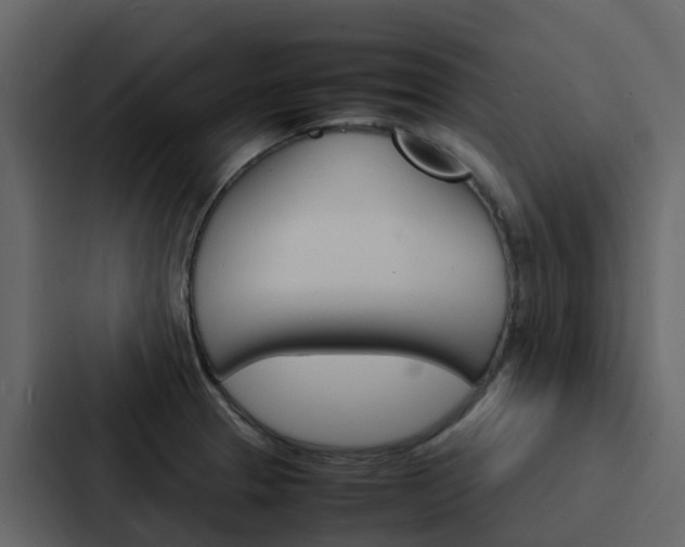 X0000088131329200705140949
