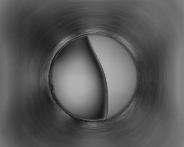 X0000088131330200705140949