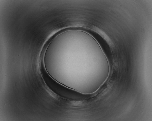 X0000088131332200705140949