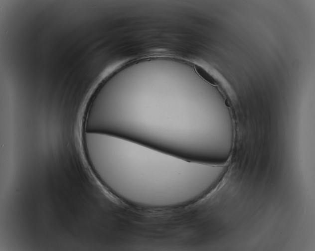 X0000088131333200705140949