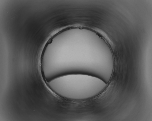 X0000088131335200705140949