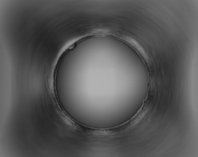 X0000088131336200705140949