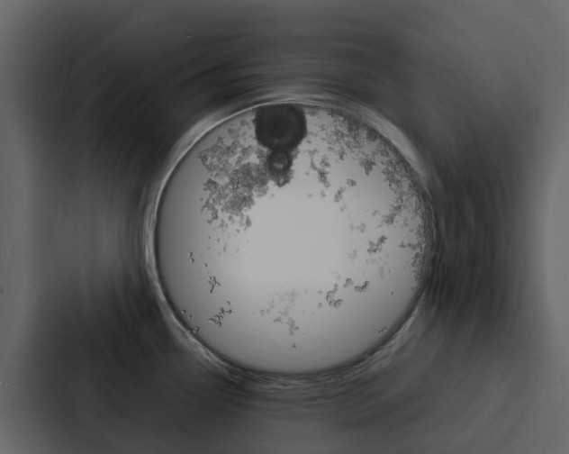 X0000088131338200705140949