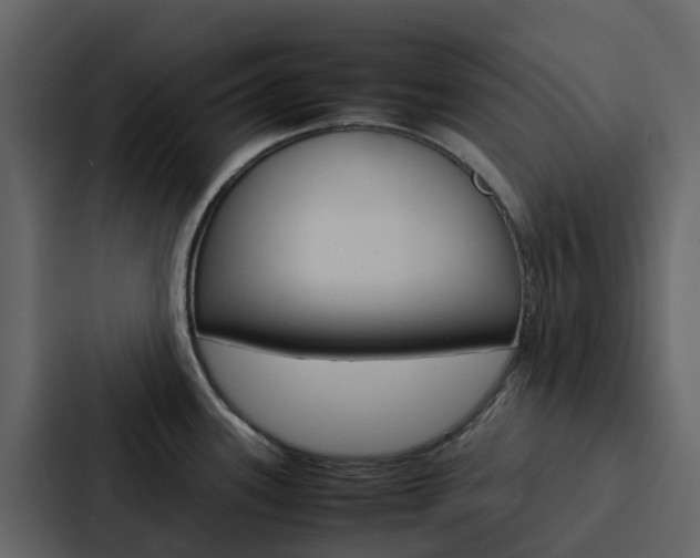 X0000088131339200705140949