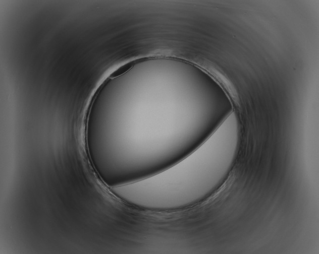 X0000088131340200705140949
