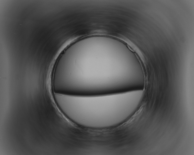 X0000088131341200705140949