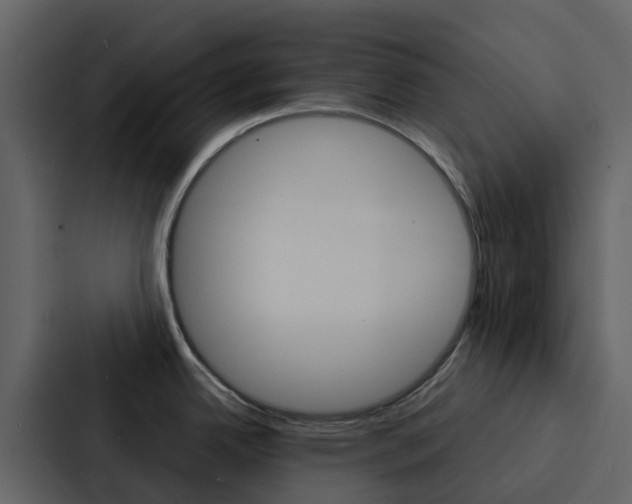 X0000088131342200705140949