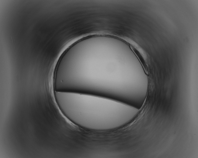 X0000088131343200705140949