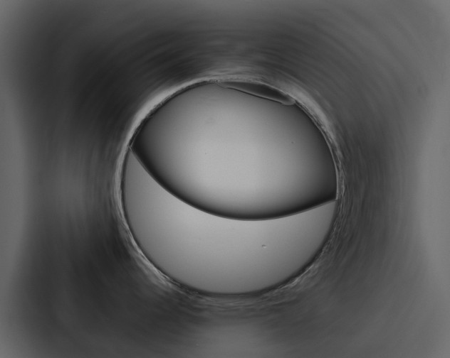 X0000088131344200705140949