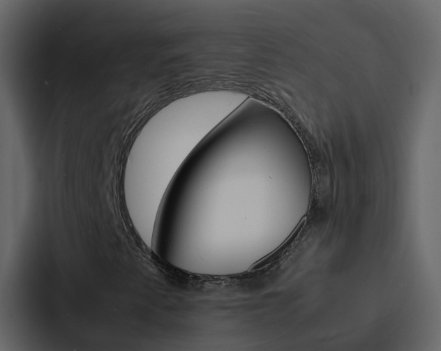 X0000088131345200705140949