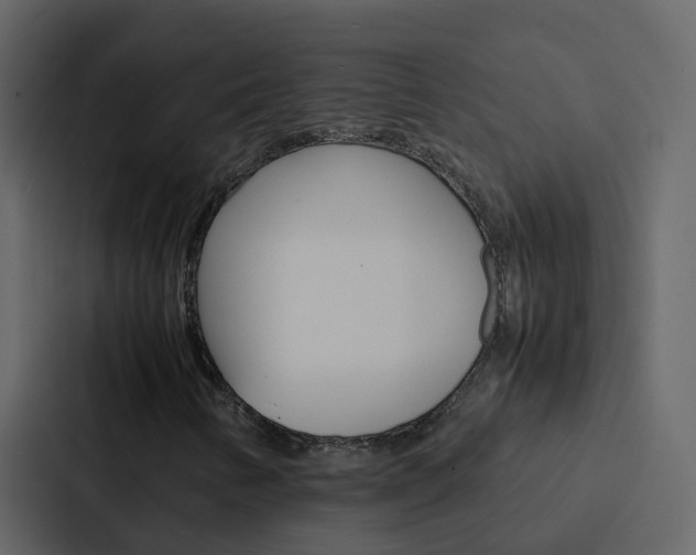 X0000088131346200705140949