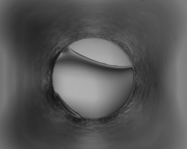 X0000088131349200705140949