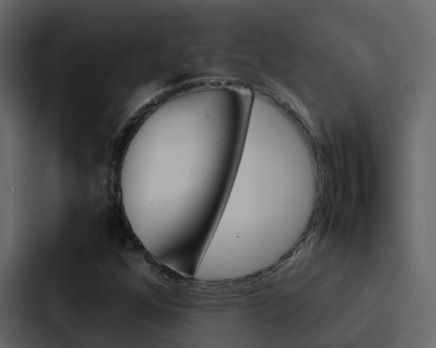 X0000088131352200705140949