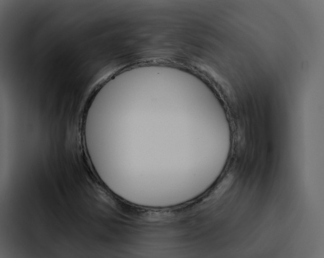 X0000088131354200705140949