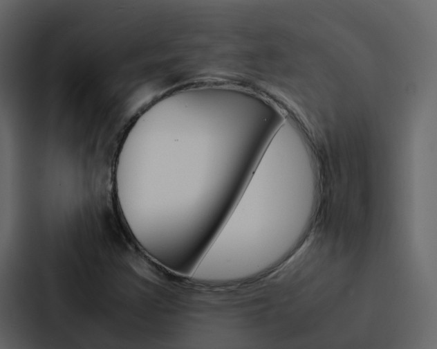 X0000088131355200705140949