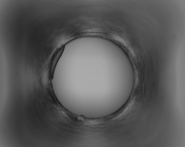 X0000088131357200705140949