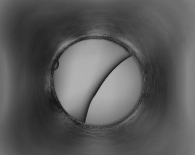X0000088131358200705140949